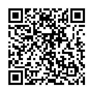 无论是闻人牧月的名头以及她本身所代表的巨大财富二维码生成