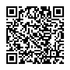 无论有多少剑光轰在身上都无法对探天界主产生损伤二维码生成