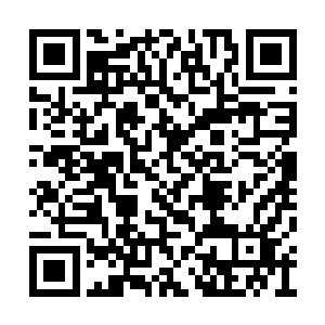 无论自己如何的努力自己所做的一切都是错误的二维码生成