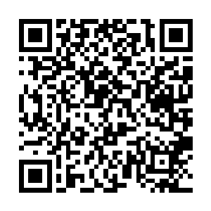 无论身份地位还是修为都可和赵阀幽燕二公相提并论二维码生成