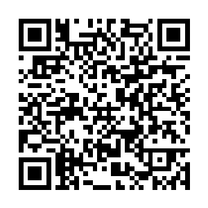 无论防御者还是来自四大家族的刺客都丢失了目标二维码生成