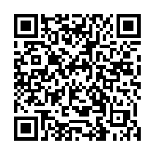 无论龙傲天在什么地方都可以随意的进出这个界主的宝藏二维码生成