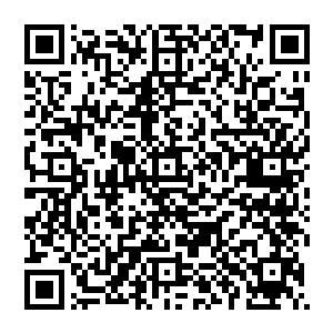 无边幻境……安全路……全错了……那不是正路……我们从一开始就没走对路……大阵根本就不需要破啊二维码生成