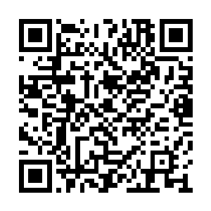 无量一道张开一张大网仅仅只针对一个碧月夫人二维码生成