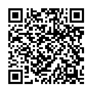 无间鹏王经地之脉轮所需要的地之元素的数量已经多到变态了二维码生成