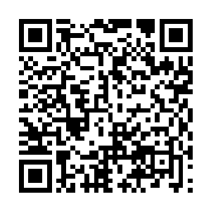 无非就是当日在太玄峰上林绯虞对她说过的那些话二维码生成