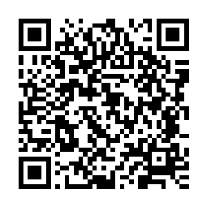 无非就是用仙力操控最后一滴千转花的精粹进入到百木鼎当中二维码生成