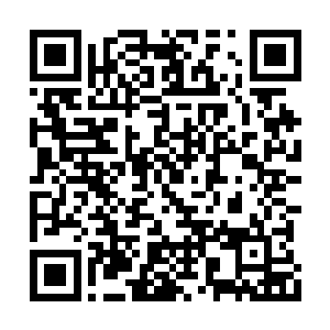 无非是想将自己变成和晏三爷那样博学的人……二维码生成