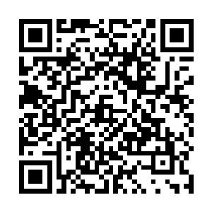 无非是曾经的天机宗以孱弱的实力对抗庞大的社稷学府二维码生成