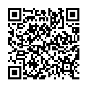 无音的心魔将手中的无情剑直接指向了面前的金花二维码生成