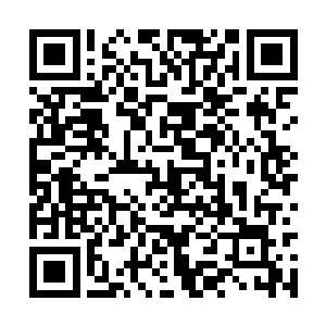 既可以使吸纳炼化生机也可以吸纳妖兽身上的魂力二维码生成