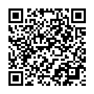 既想要弯下腰掀起塑料桌布看清楚到底是两位大美女中的那一个二维码生成