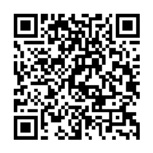 既感慨龙华一家人一直以来不遗余力的帮助也感慨世道无常二维码生成