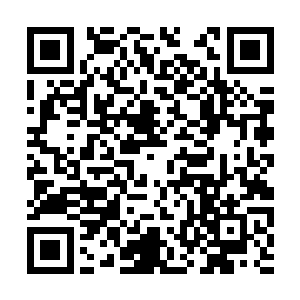 既有可能会引发我们被妖兽森林内的妖兽全体追杀二维码生成