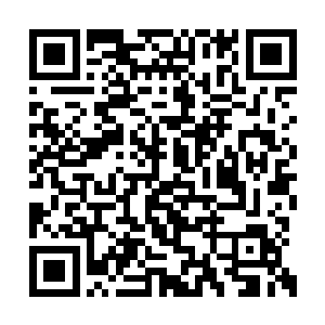 既有点不好面对那位从小呵护自己长大的冯大伴二维码生成