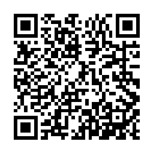 既然一滴紫极灵竹的汁液都对凯亚起不到任何的作用二维码生成