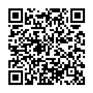 既然不知道你为什么向警察说是老子的女人雇凶打你二维码生成