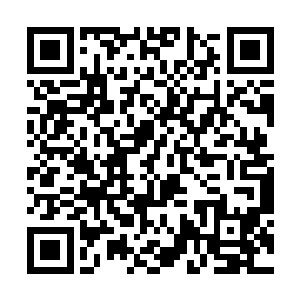 既然与自己的噬血妖藤灵植的修炼方式有极大的不同二维码生成