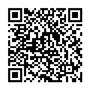 既然他以自己的身体什么的为媒介替主人抵挡了伤害二维码生成