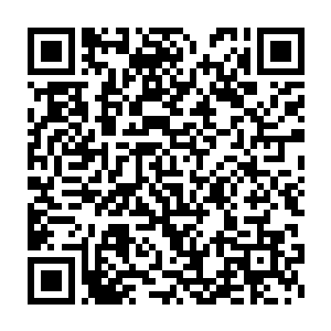 既然他们已经投靠了隐魔门那么龙傲天根本就没有必要手下留情了二维码生成