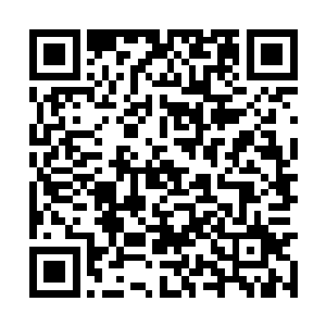 既然他在之前承诺……萨波被打败后他就亲自下来二维码生成