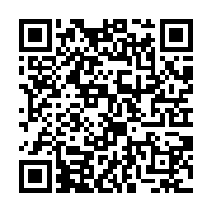 既然他能够花一亿一千万的个人资产购下流光虎甲虫二维码生成