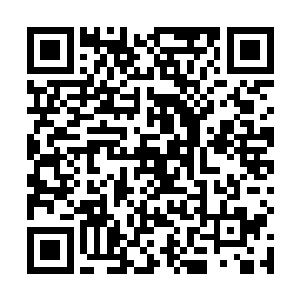 既然他说这个杀戮天使之铠的器灵能够克制刑天的能力二维码生成