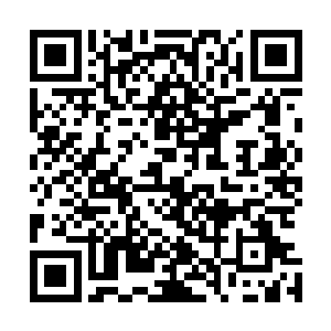 既然他那么厉害了为什么不将这里所有鬼魂渡化然后带出去二维码生成