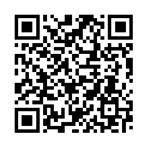 既然你不打算和楚西辞再在一起了二维码生成