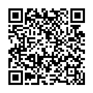 既然你们东部联盟弟子想要学习我们上元盟的传承二维码生成