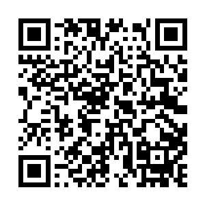 既然你们这么喜欢当叛徒那就该知道当叛徒的下场二维码生成