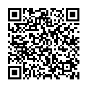 既然你昨天能通知苒儿这丫头去扫了程勇的一个档口二维码生成