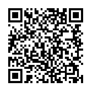 既然军师队长和龙离队员都提出请你回龙息静养的请求二维码生成