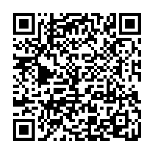 既然出现 那必定陨落 这就是宿命 不死不休的宿命 必定要用血來洗礼二维码生成