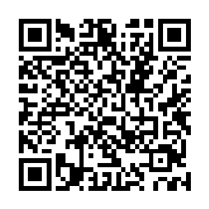 既然前世他们爱的那么要死要活也把别人挣的要死不活的二维码生成