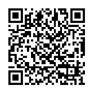 既然周大人和吕大人说网络言论自由不应该设限二维码生成