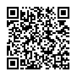 既然城主在心理和行动上都已有所准备了……呼……二维码生成