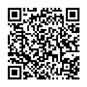 既然如此……花费这么大代价找这株药材干什么二维码生成