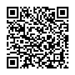 既然它煞费苦心营造并维持了这么多虚拟世界的运转二维码生成