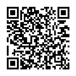 既然害怕又不是非要上去为什么要逼着自己上去找罪受二维码生成