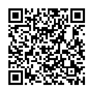 既然小小姐执意如此……希望您以后不要后悔才是二维码生成