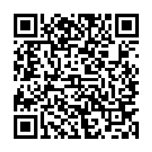 既然小龙感兴趣也是刚好对上了路易斯二世的想法二维码生成