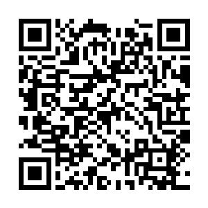 既然少掌门这么说那么龙傲天就交给少掌门处理了二维码生成