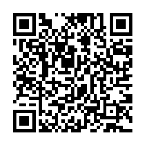 既然幽冥王是靠吸收鬼界其他鬼魂的力量来支撑自己二维码生成