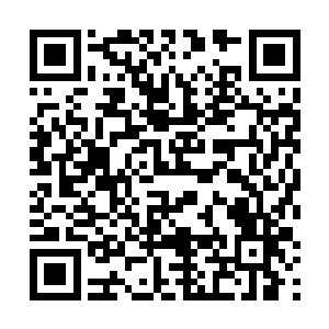 既然无法击杀服部久成和这个自己的i宗师级巅峰的老者二维码生成