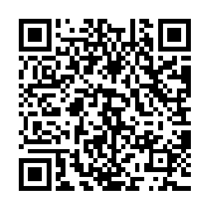 既然是要定制那我至少得要看过你的灵宠之后才能判断的出来二维码生成