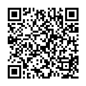 既然是龙神八打结合龙形五变和龙神诀才能发挥出威力二维码生成