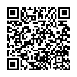 既然暂时没有办法破坏这千足老妖的石化重生术二维码生成