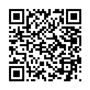 既然本宫昨夜开的条件你死活不肯答应二维码生成