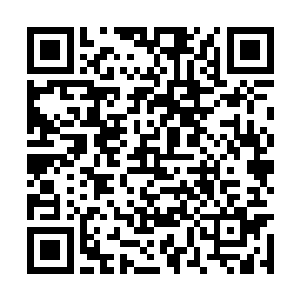 既然朱烈神王现在不愿说朱雀一族到底有什么麻烦二维码生成